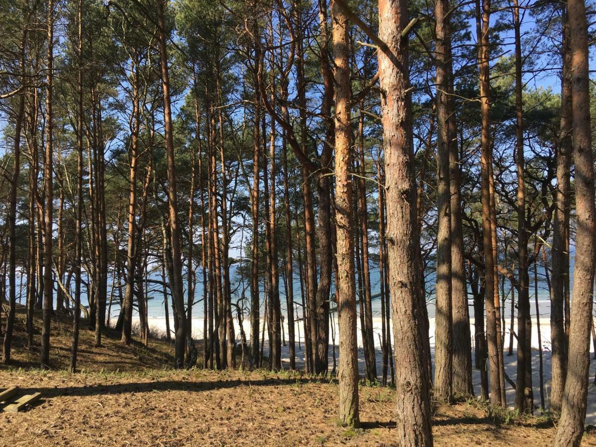 Magnolia Holiday home Dzwirzyno