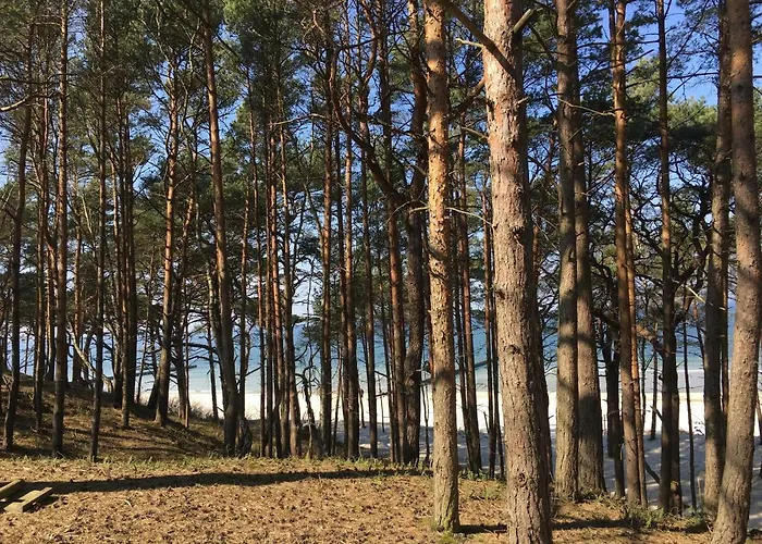 Domki Magnolia